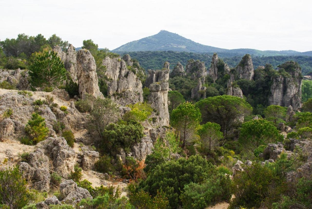 Le Cocon: Charming 3-Star Residence in Beziers City Center Exterior photo